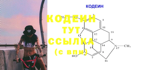 твердый Лагань
