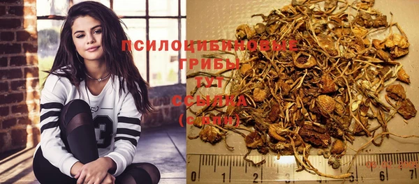 твердый Лагань