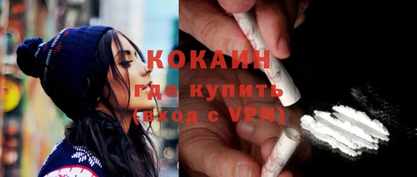 твердый Лагань
