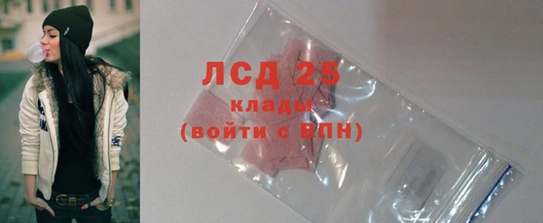 гидра Кулебаки