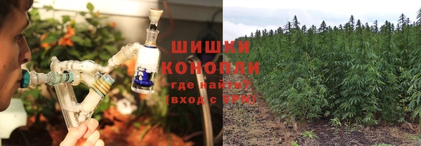 гидра Кулебаки