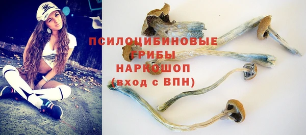 MESCALINE Лабытнанги