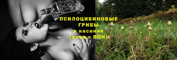 гидра Кулебаки