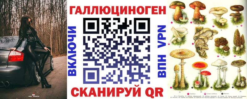Псилоцибиновые грибы Psilocybine cubensis  Красавино 